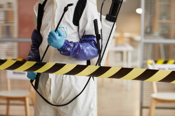 Professional Sewage Cleanup technician working in Mountainburg, AR